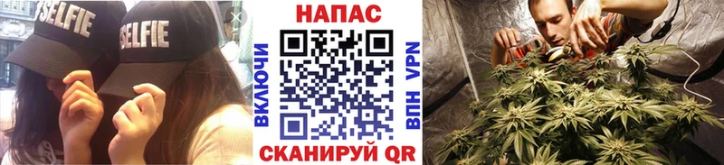 Конопля Amnesia это какой сайт Лодейное Поле